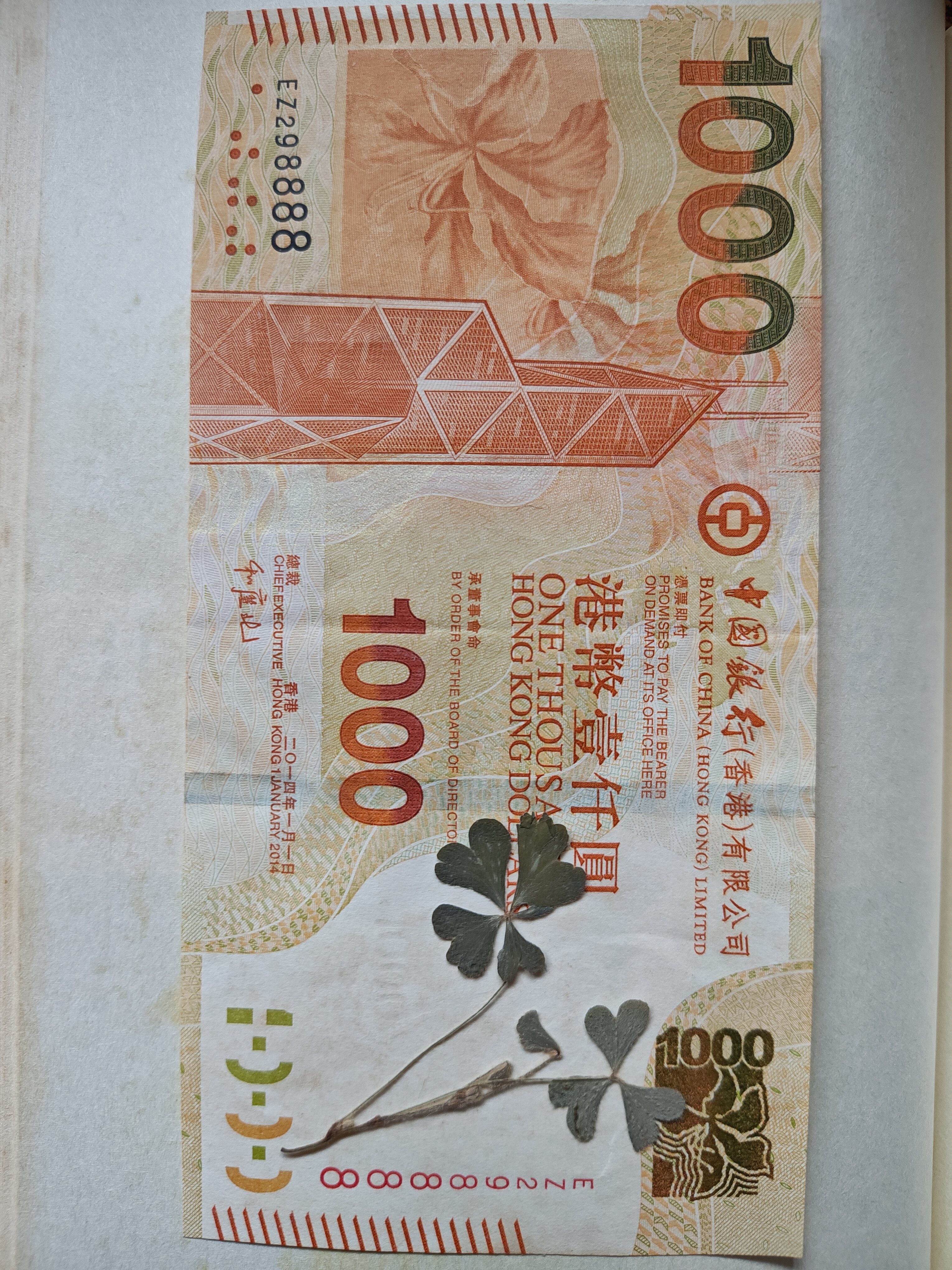 书中自有黄金屋，还有四叶草